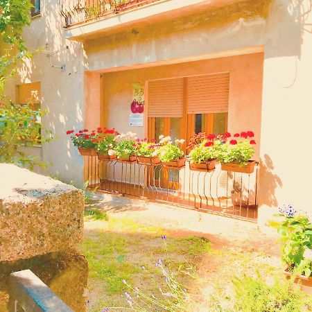 Gallura Experiences Li Criasgi Aggius Exterior photo